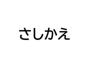 豊田市河合町 新築戸建 全2棟 2号棟